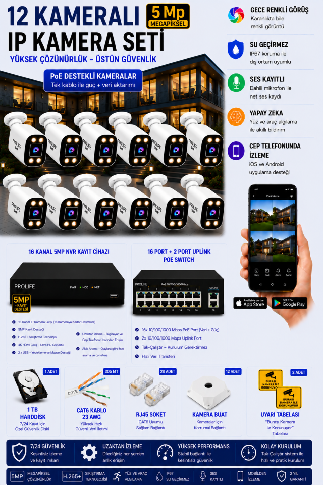 12 Kameralı 5 MP IP Kamera Seti Gece Renkli Ses Kayıtlı Yapay Zeka Destekli Tak-Çalıştır Sistem